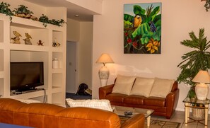 Smart TV, video game console, books