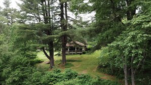 A secluded cabin surrounded by dense forest. - Lehigh Lodge Waterfront- Feat. in Philadelphia Mag. Gorgeous private waterfall! (Blakeslee)