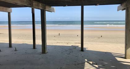 Dolphin Views - On the beach!