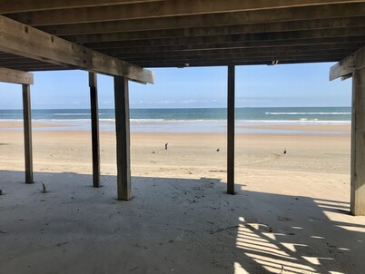 Dolphin Views - On the beach! 