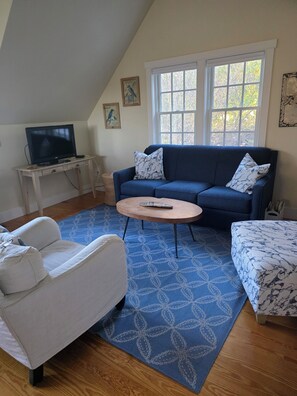 Smart TV, DVD player, books, stereo