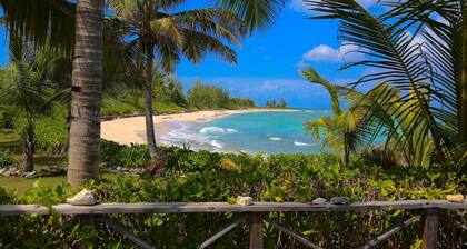 Best Romantic Beach House, Newly Remodeled