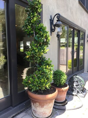 Detalle exterior