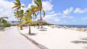 Una playa con paseo marítimo adoquinado, palmeras y sombrillas de techo de paja.