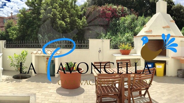 An outdoor patio area with a table and chairs, a potted plant, and a small structure with a chimney.