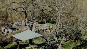 Un espace extérieur aménagé dans un style rustique, avec une table et des chaises, entouré d’arbres et d’une pile de bûches.