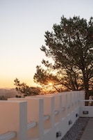 Una terraza con barandilla blanca, un árbol y un atardecer al fondo.