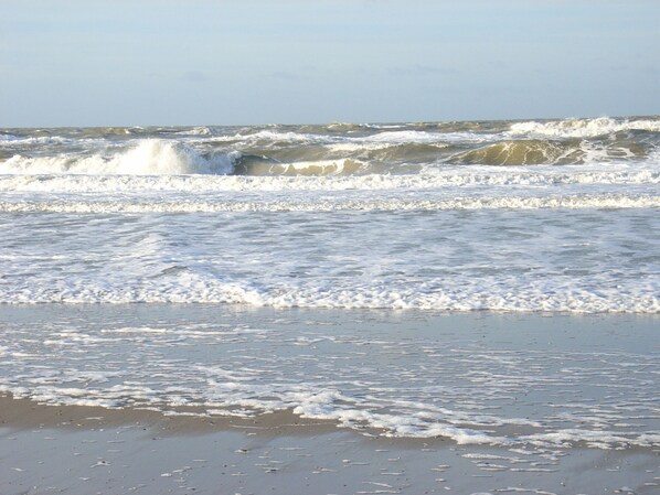 Beach nearby - Nice apartment in Callantsoog 400m to the sea, south-facing balcony, elevator, sauna, WiFi (Callantsoog)