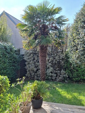 Property grounds - 300 M FROM THE SEA BRIGHT MODERN 4* HOUSE WITH LUSH ENCLOSED GARDEN (Agon-Coutainville)