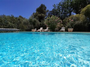 Piscina azul límpida com espreguiçadeiras e plantas em vasos ao redor.