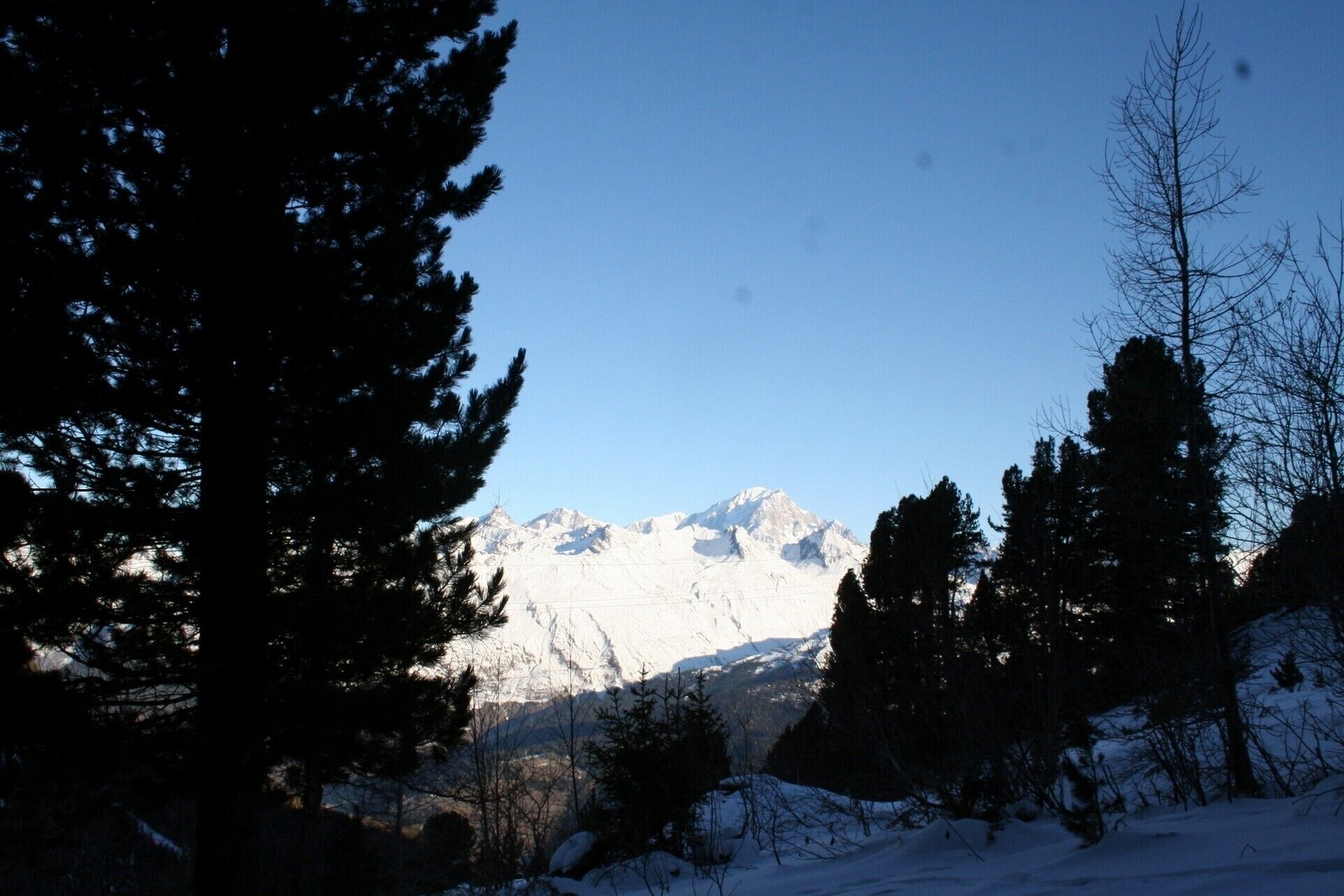 A snowy mountain landscape with dense evergreen trees in the foreground.