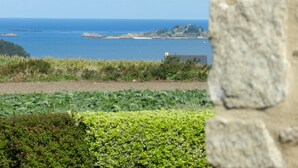 Un paysage côtier avec un mur de pierre au premier plan, une zone herbeuse parsemée de quelques plantes, et une vue sur la mer et des îles lointaines.