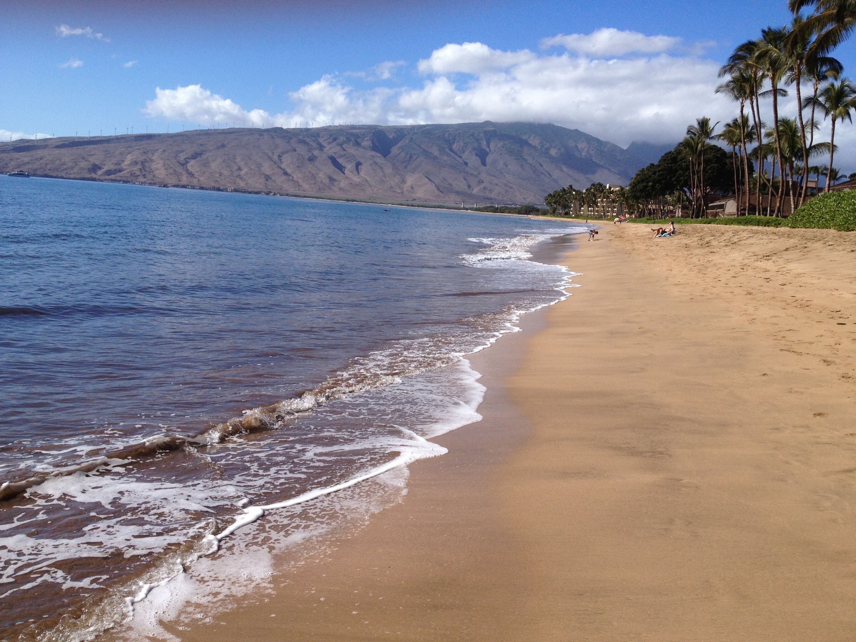 Une plage à l’eau d’un bleu cristallin, avec un rivage sablonneux et des palmiers.