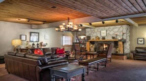 TV, fireplace, video games, DVD player