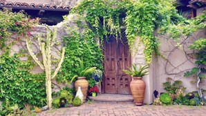 Un bâtiment en pierre avec une porte et des fenêtres en bois, entouré de verdure et de plantes en pot.