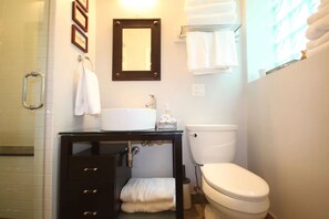 Hair dryer, towels - Peaceful Oasis in Top Chicago Neighborhood. Low Traffic, Pristine Cleanliness. (Chicago)