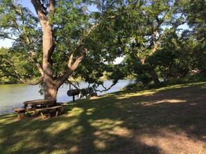 A picnic table under a large tree by a lake.