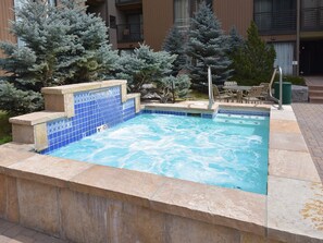 House | Pool - Vail International (Vail)