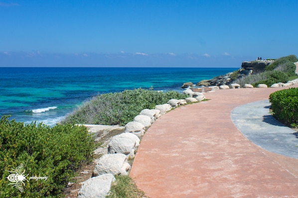 星評価なしの画像、1 / 27、ボタン