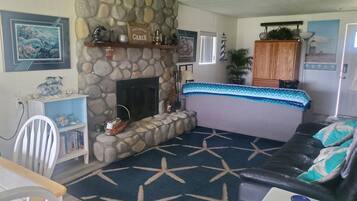 Smart TV, fireplace, DVD player, books