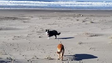 Na praia, espreguiçadeiras, toalhas de praia