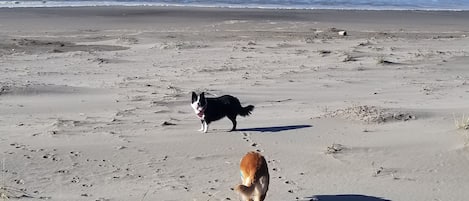 En la playa, camastros y toallas de playa 