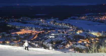 900 m From Blue Mountain And The Blue Mtn Village STA Licence #PRSTAL2018001145
