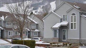 Un barrio residencial con casas, un paisaje nevado y una montaña al fondo.