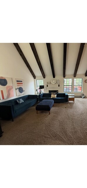 Smart TV, fireplace, books