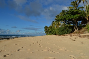 A sandy beach with footprints, palm trees, and the ocean in the background.