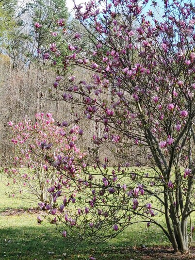 Hermosas puestas de sol, Mucha vida salvaje, Romántico, Privacidad, Pacífica, Pescado desde cubierta