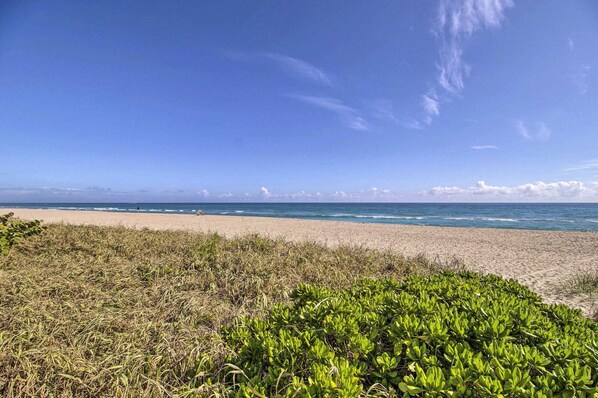 بالقرب من الشاطئ، كراسي للتشمس، مناشف للشاطئ