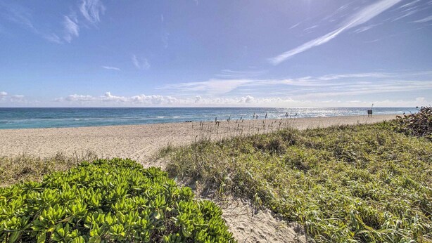 A beach with clear skies, a sandy shore, and green vegetation in the foreground. - Short/Long Stays; Sun, Fun, & Relax in the Gardens.  (Palm Beach garden)