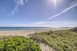A beach with clear skies, a sandy shore, and green vegetation in the foreground.
