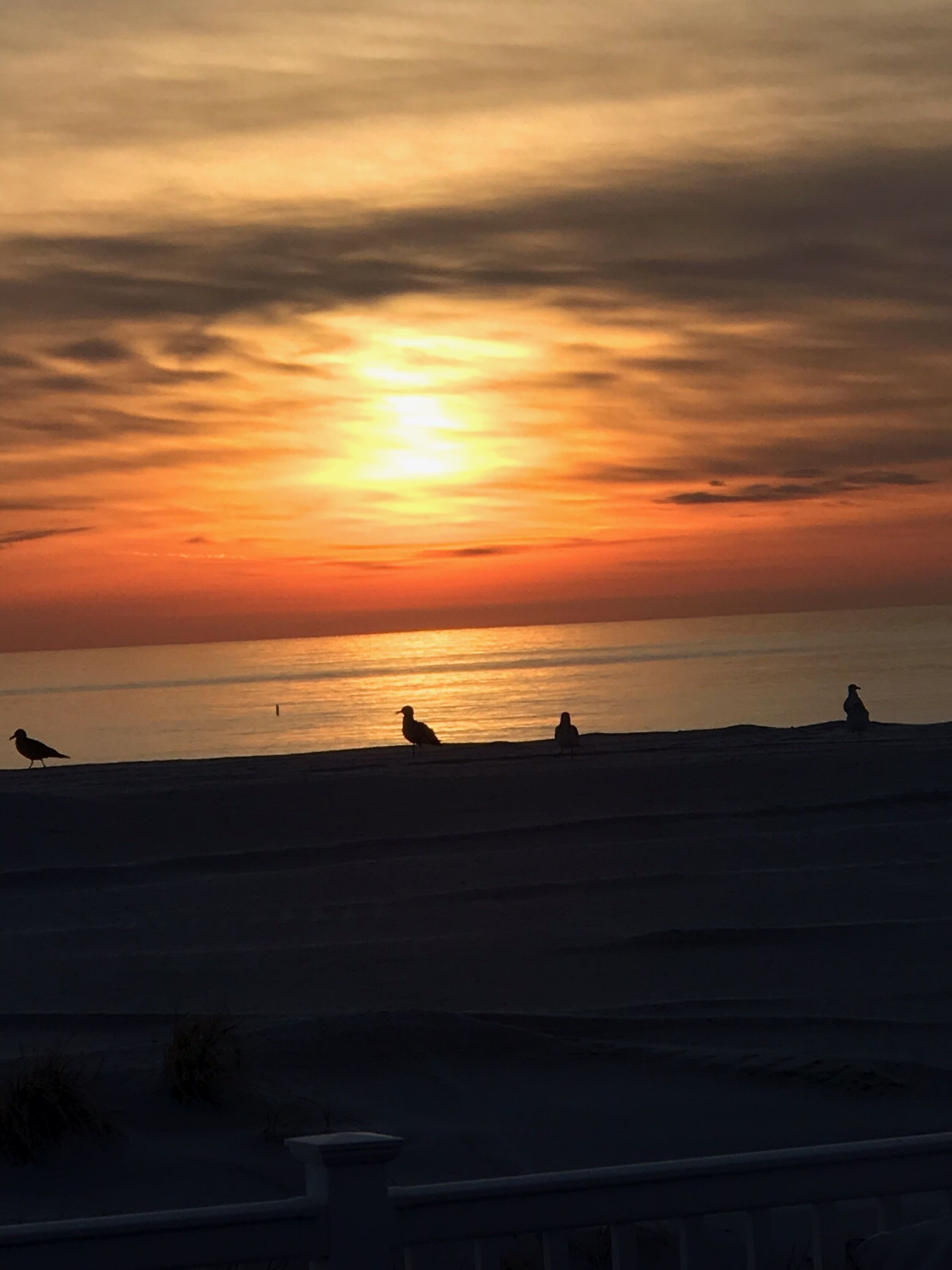 Am Strand