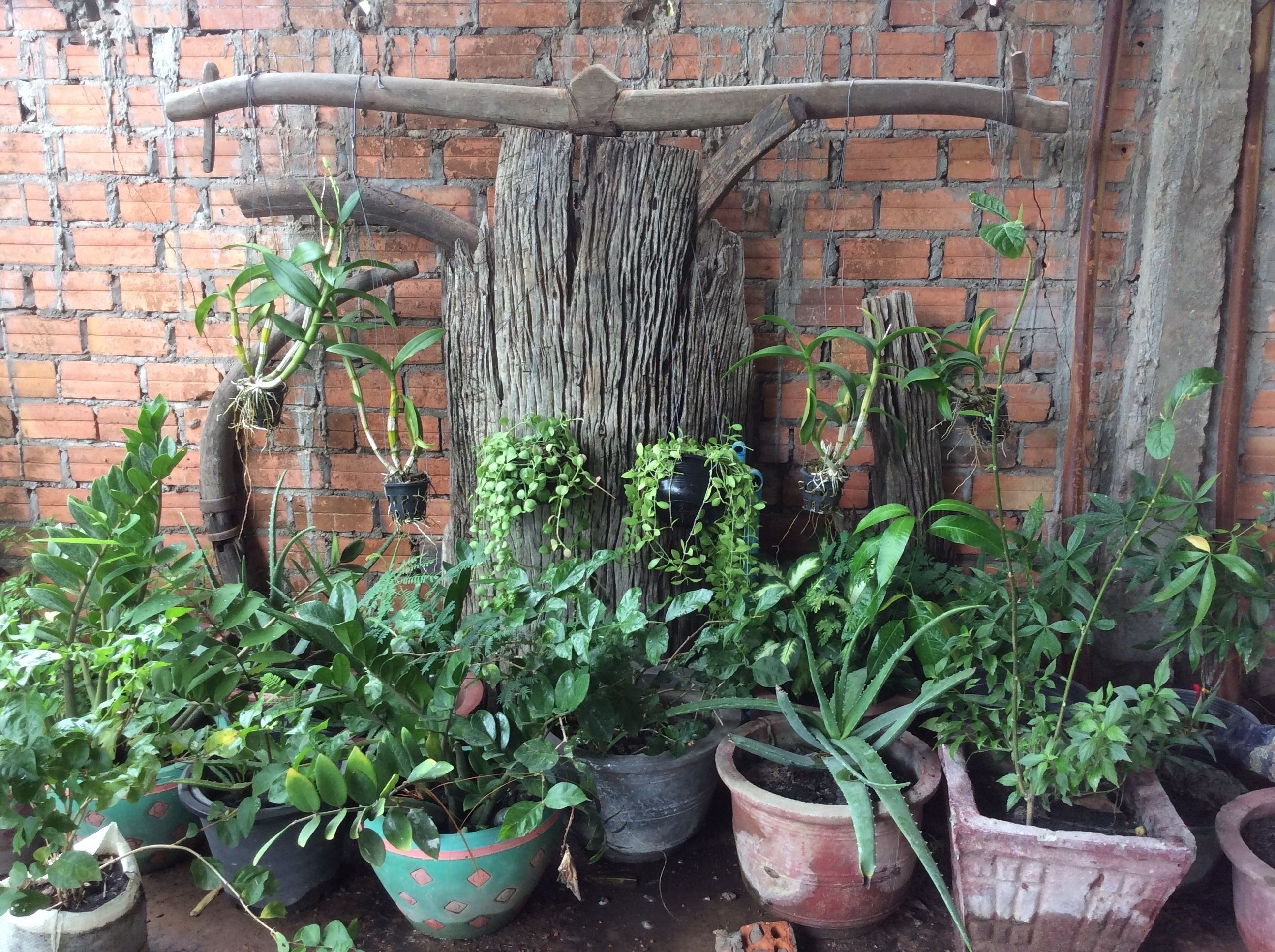 Foto - Realkhom Homestay