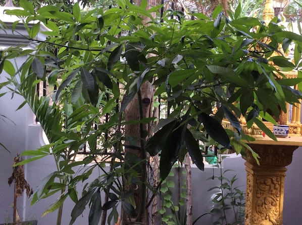 Tomannsrom – superior, byutsikt | Hageutsikt