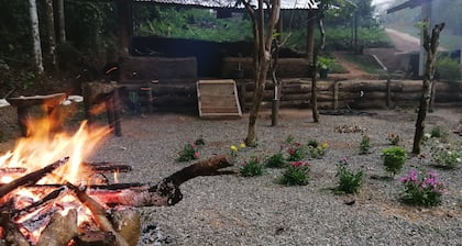 Foret De Vill - Hostel