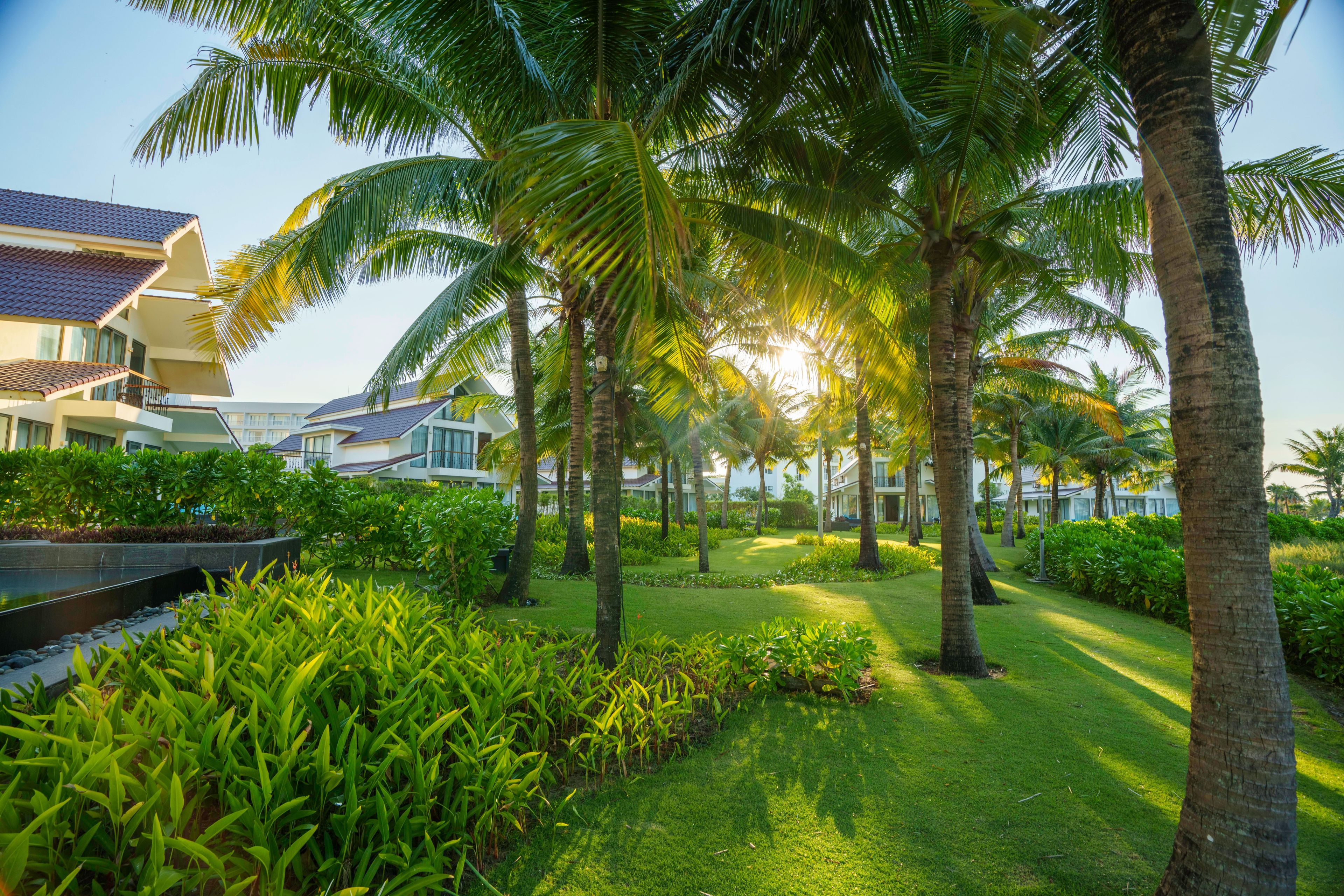 A resort with palm trees, a swimming pool, and modern buildings.