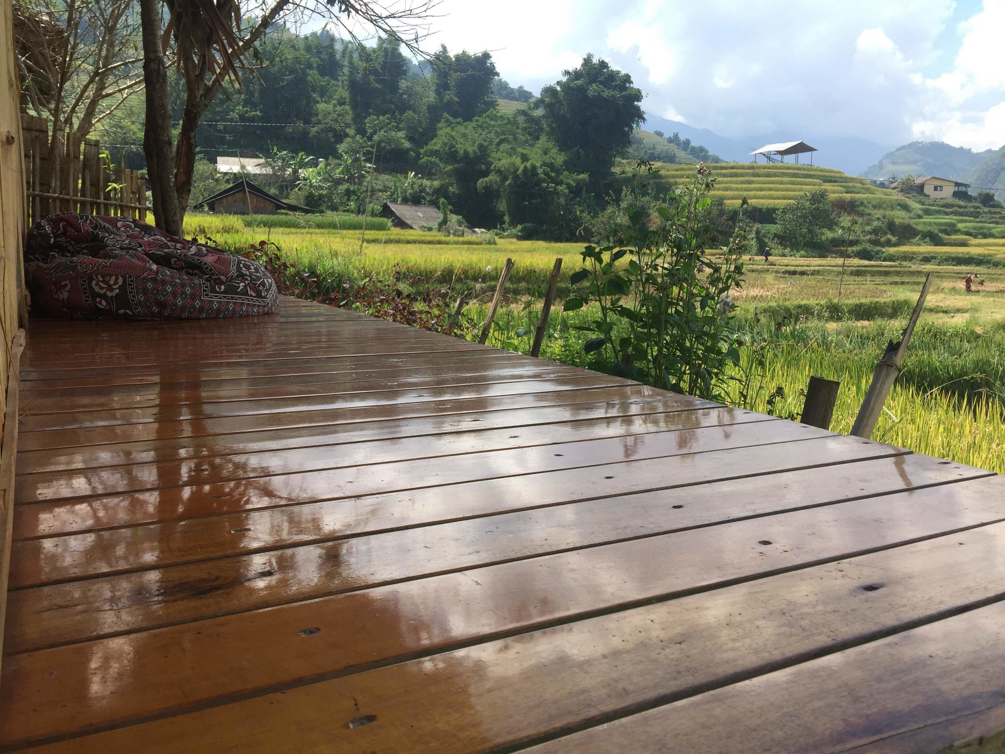 办公桌、免费 WiFi