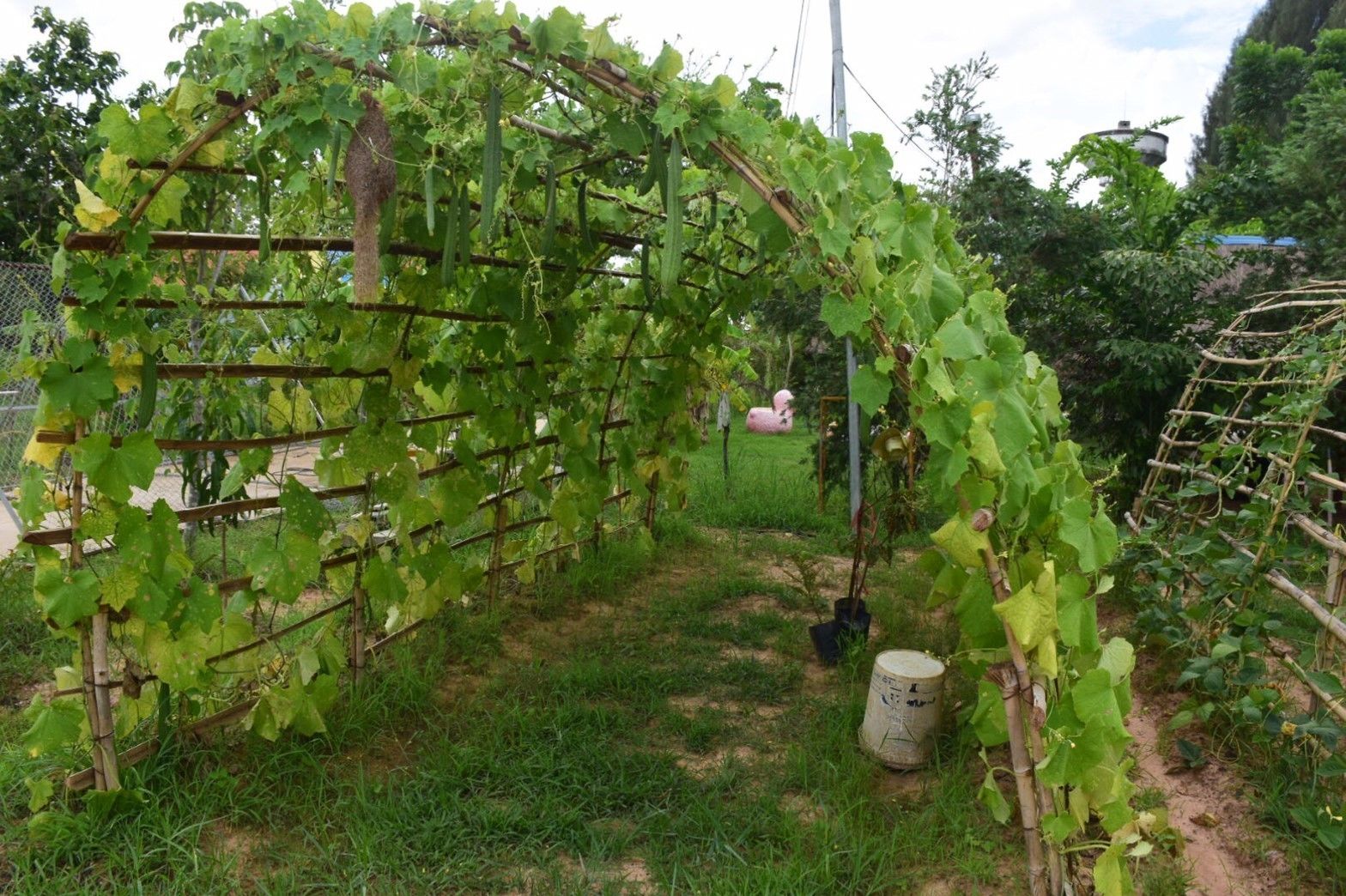 Kolmen hengen huone | Näkymä huoneesta