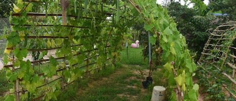 Dreibettzimmer | Ausblick vom Zimmer