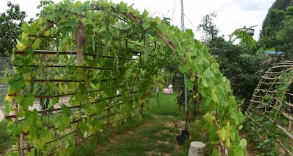 Sohground Boutique Resort