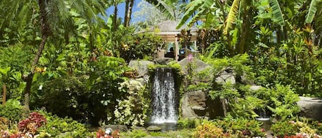 Áreas de la propiedad