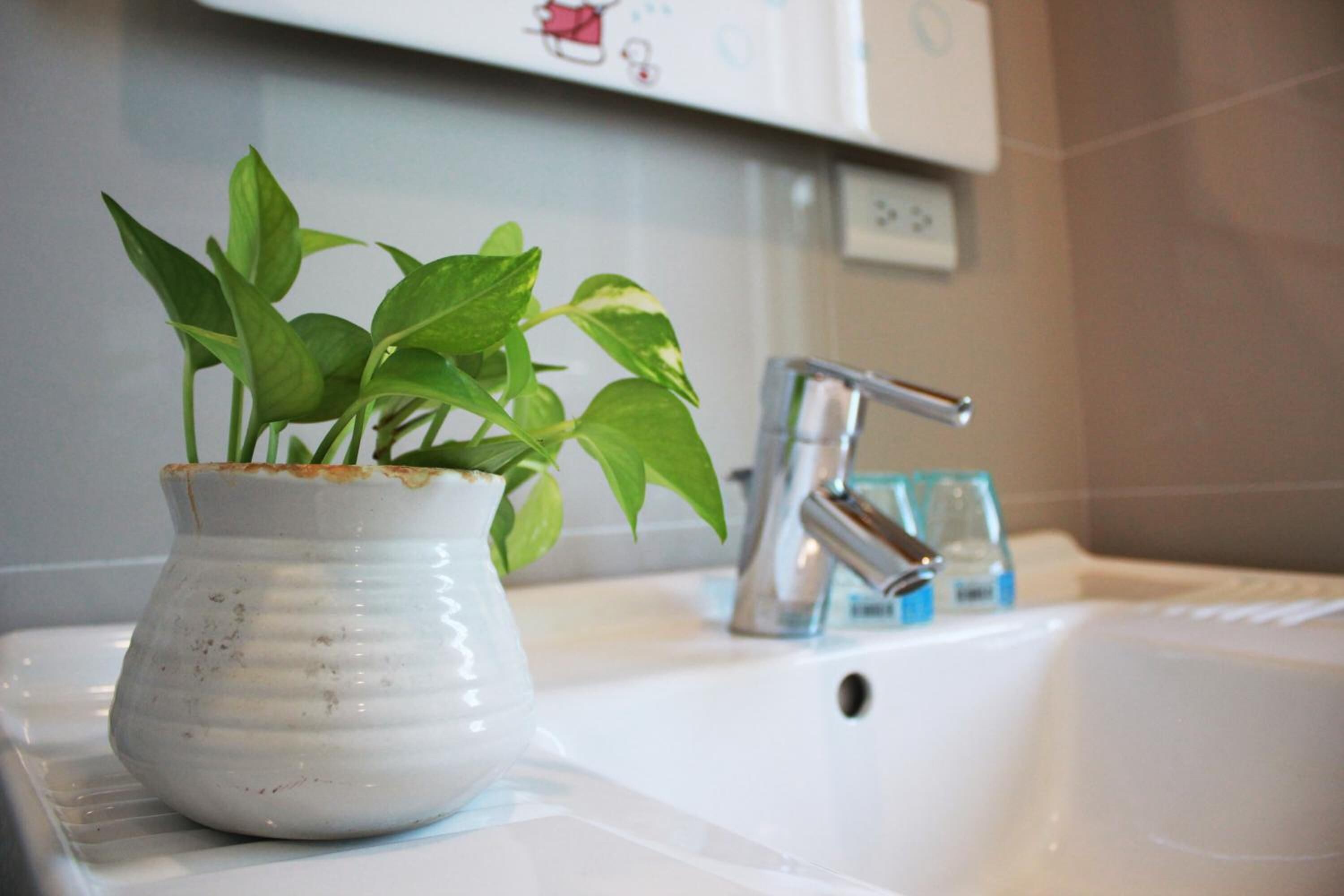 A white ceramic vase with green leaves on a bathroom sink.