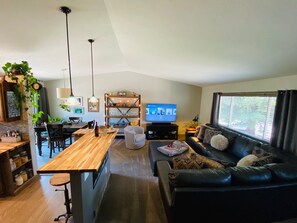 TV connectée, cheminée, lecteur de DVD, livres