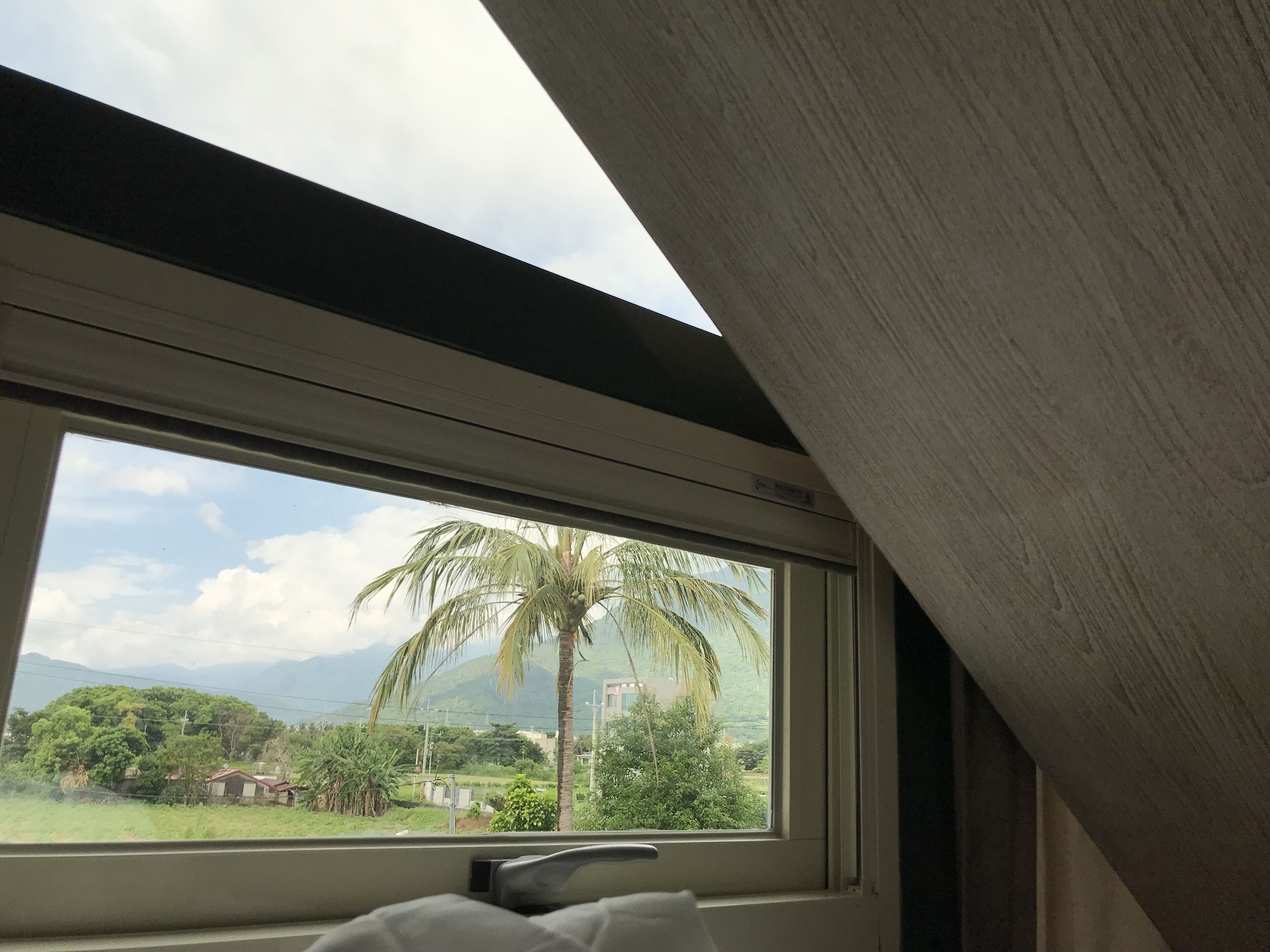 A window with a view of a palm tree and greenery, a metal railing, and a part of the room's ceiling.