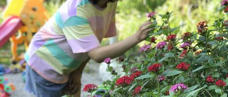 Una persona cuidando un jardín con flores rojas y follaje verde.