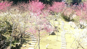 庭園
