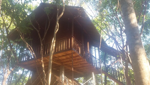 A treehouse with a wooden platform and a wooden railing, surrounded by trees.